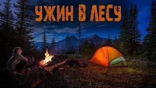 Мистика в лесу - Ужин в лесу - Мистические истории  из жизни.