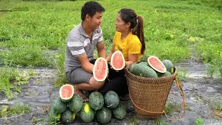With boyfriend \ harvesting watermelon garden to sell and cooking