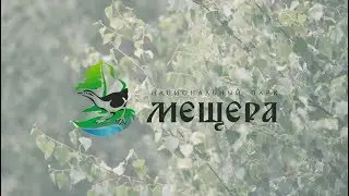 "Музыкальная экспедиция" в Мещере l 12.06.2019 l Национальный парк "Мещера"