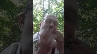 Наслаждаемся летом, пением птиц и звуком темир-комуза Бакыта Наржигитова
