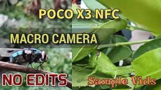 POCO X3 NFC MACRO CAMERA | SAMPLE VIDEOS | NO EDITS