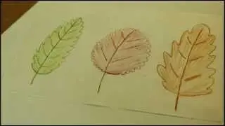 Рисуем быстро и просто.Как нарисовать листья