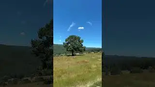 Toyota 70 Series Romanian Landscape #Shorts #viral #fyp #viral #offroad #toyota