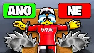 LIDÉ HLASUJÍ, JESTLI MÁME ZEMŘÍT NEBO NE... (Roblox The Spinner)
