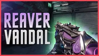 REAVER Vandal Gameplay | VALORANT Reaver Collection Skin