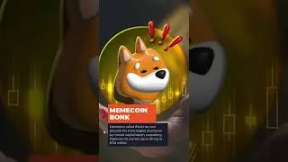 #bonk #memecoin on the rise! #bitcoin falls 7% liquidates $300 million in long positions.