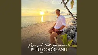 Nu Pot Iubi Pe Nimeni