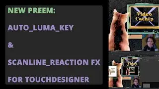 Automatic Luma Keying and Scanline Reaction Diffusion FX for TouchDesigner