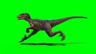 dinosaur green screen animation