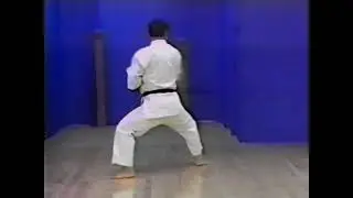 Goju ryu kata   Sepai