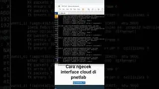 Cara sederhana untuk cek interface cloud di pnet lab