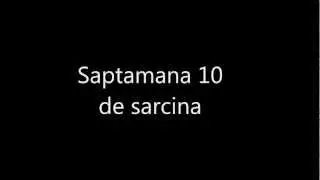 Saptamana 10 de sarcina