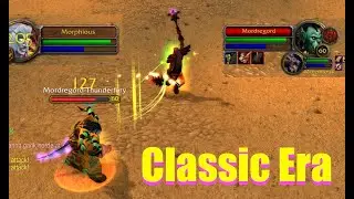 Druid vs Naxx Warlock 1v1 - Classic Era - World PvP - Morphious - w/ Commentary