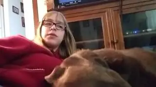 Facts About My Dog!