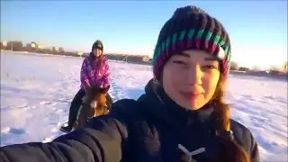 поля1