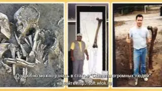 Ложь во имя науки