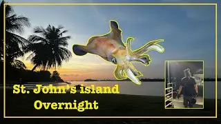 DQ St. John island overnight fishing / Eging