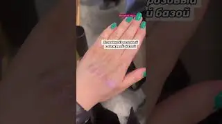 НОВЫЕ спарклы SHIK  