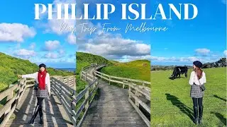 PHILLIP ISLAND PENGUIN PARADE | Cape Woolamai Coastal Walk, Churchill Island & Chocolate Factory!