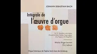 Intégrale Bach / Leurent-Lebrun : Volume 9 à l'orgue historique de Lüneburg. Schübler, Canoniques...