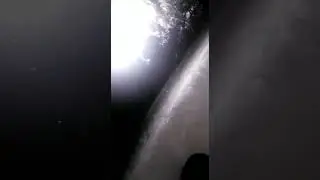 Как в Якутии достают бивни мамонта.