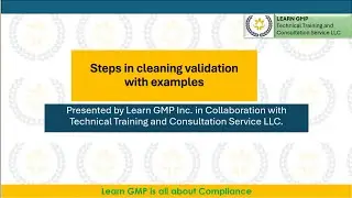 Steps in cleaning validation with examples