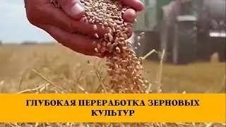 ПЕРЕРАБОТКА ЗЕРНА В КАЗАХСТАНЕ В 2020 ГОДУ