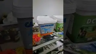 Тай жабағыларды бойын өсіру ушін қажет витаминдер