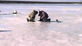 Ловля карпа на балду зимой