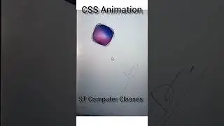 Css Animation