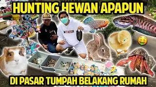 HUNTING HEWAN APAPUN YANG AKU MAU DI PASAR TUMPAH BELAKANG RUMAH! TERNYATA BANYAK YANG JUAL HEWAN!