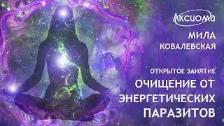 Очищение от энергетических паразитов. Лекция + практика очистки