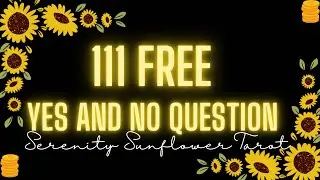 Let’s chat / last day Free yes or No Questions