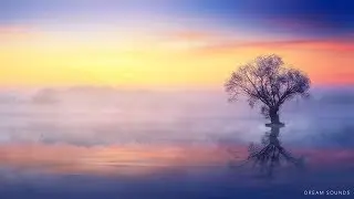 Belle Détente De La Musique Pour Piano-Si J'Avais Des Ailes
