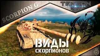 Scorpion G. Виды скорпионов.