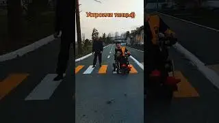 устроили танцы