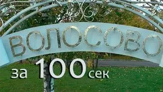 Волосово за 100 секунд