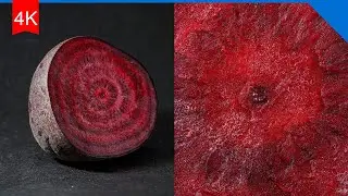 How many objects can you identify? - MACRO ZOOM