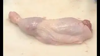 Deboning a Chicken leg/thigh quarter
