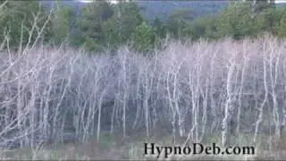 Ask Your Money Angel - Manifest Money Hypnosis / Visualization