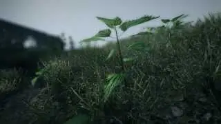 afs foliage shader for unity -- ground lighting 1080p