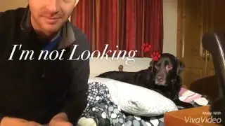 Not Looking