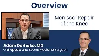 Meniscal Repair of the Knee: Overview