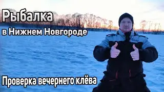 Рыбалка в Нижнем Новгороде. Проверка вечернего клева (второй Борский котлован)