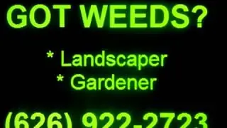 LANDSCAPING, High Desert, Calico, Newberry Springs, Yermo, Hodge, Hinkley, Lenwood, Helendale