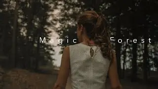 The Magic Forest Cinematic Travel Video