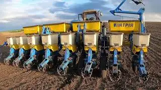 Посів самого крутого гібриду соняшника