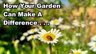 YOUR GARDEN MATTERS - Why?