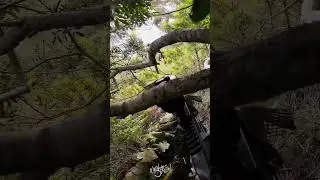 Painful Airsoft Shots #funnyshorts #airsoft #painful #fail