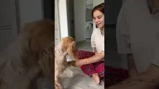 СОБАЧЬЯ РАСПОКОВКА #собака #собаки #юмор #животные
